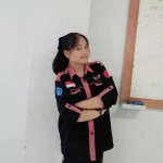 Sendi Friskazai